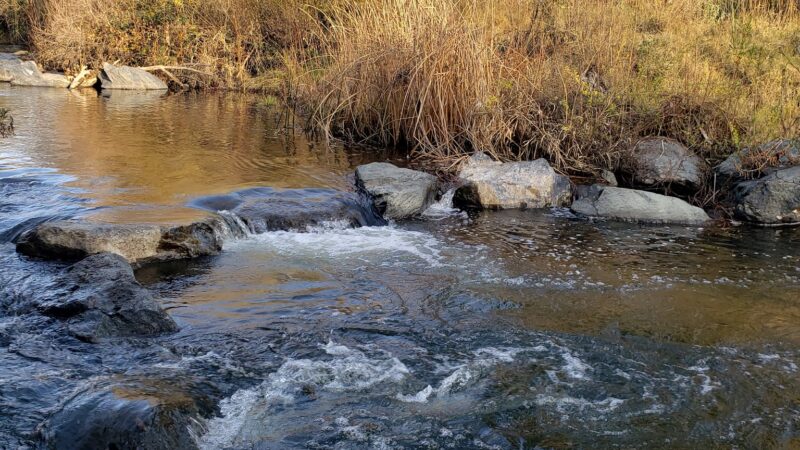 Miner's Ravine Trail Access - Roseville, CA