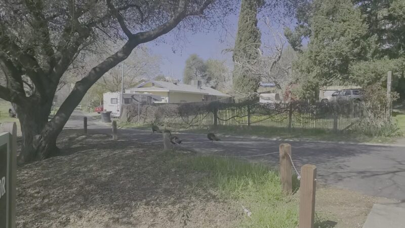 Miner's Ravine Trail Access - Roseville, CA