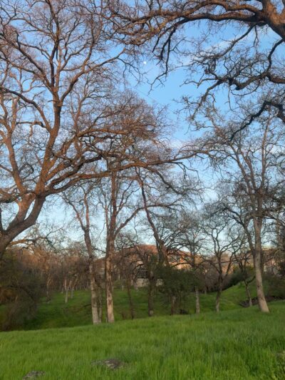 Miner's Ravine Trailhead - Roseville, CA
