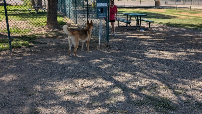 Woof Bowl Dog Park - Roswell, NM