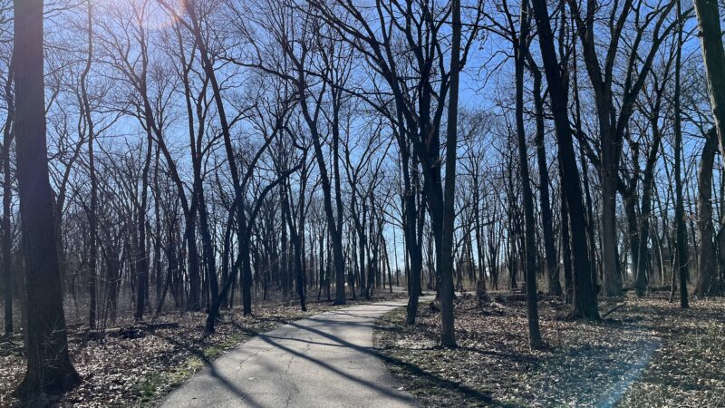 East End Park - Round Lake Area Park District - Round Lake Beach, IL