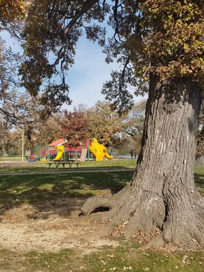 Lakefront Park - Round Lake Beach, IL
