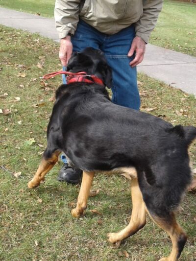 Bright Meadows Park - Round Lake Area Park District - Round Lake, IL