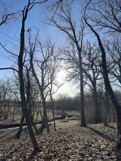 Fairfield Park - Round Lake Area Park District - Round Lake, IL