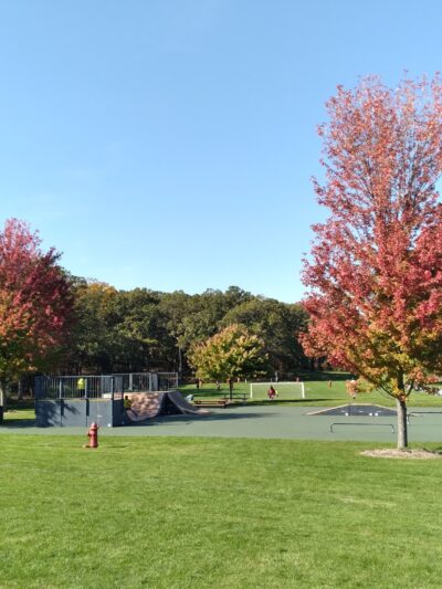 Hart's Woods Park - Round Lake Area Park District - Round Lake, IL