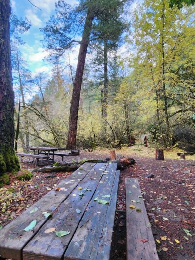 Madrone Campground - Round Mountain, CA