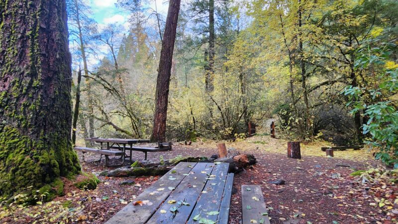 Madrone Campground - Round Mountain, CA