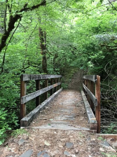 Madrone Campground - Round Mountain, CA