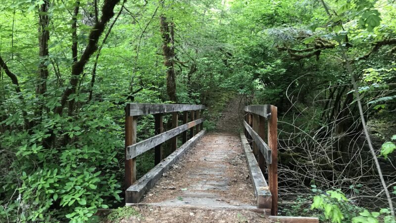 Madrone Campground - Round Mountain, CA