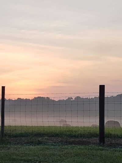 Allensville Park - Roxboro, NC