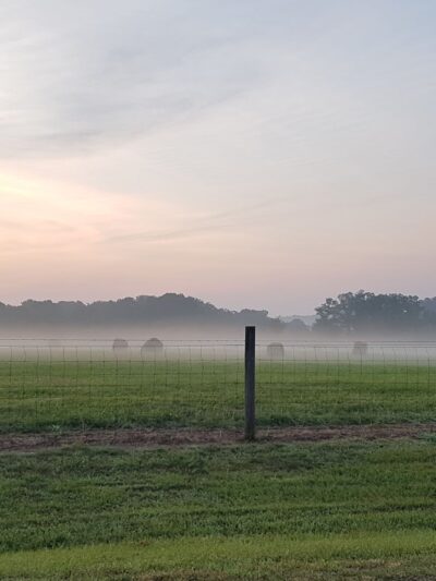 Allensville Park - Roxboro, NC