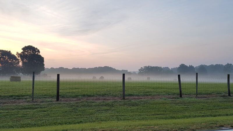 Allensville Park - Roxboro, NC