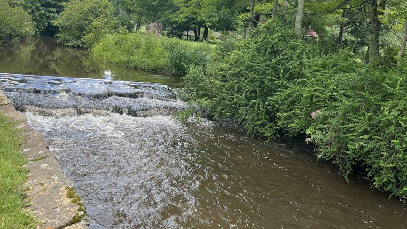 Kirkside Park - Roxbury, NY