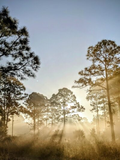 Crestwood Park - Royal Palm Beach, FL