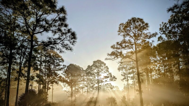 Crestwood Park - Royal Palm Beach, FL
