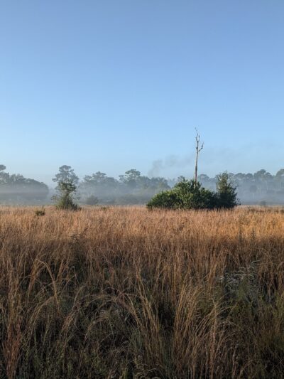 Crestwood Park - Royal Palm Beach, FL