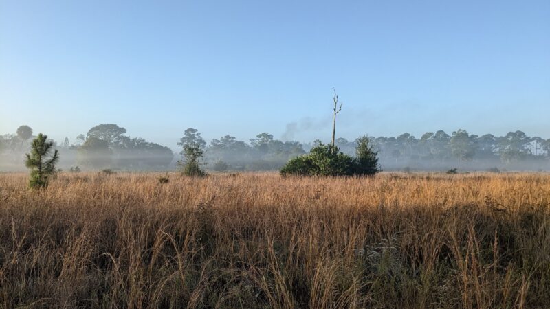 Crestwood Park - Royal Palm Beach, FL