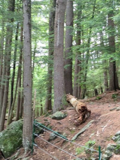 Doane's Falls Reservation - Royalston, MA
