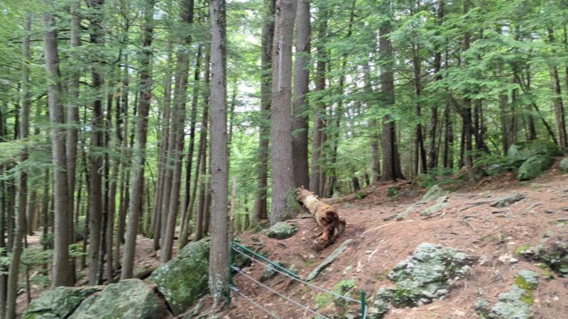 Doane's Falls Reservation - Royalston, MA