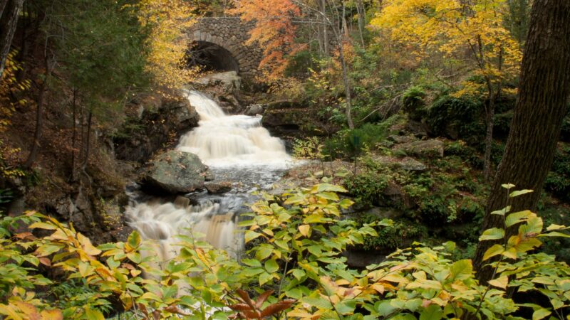 Doane's Falls Reservation - Royalston, MA