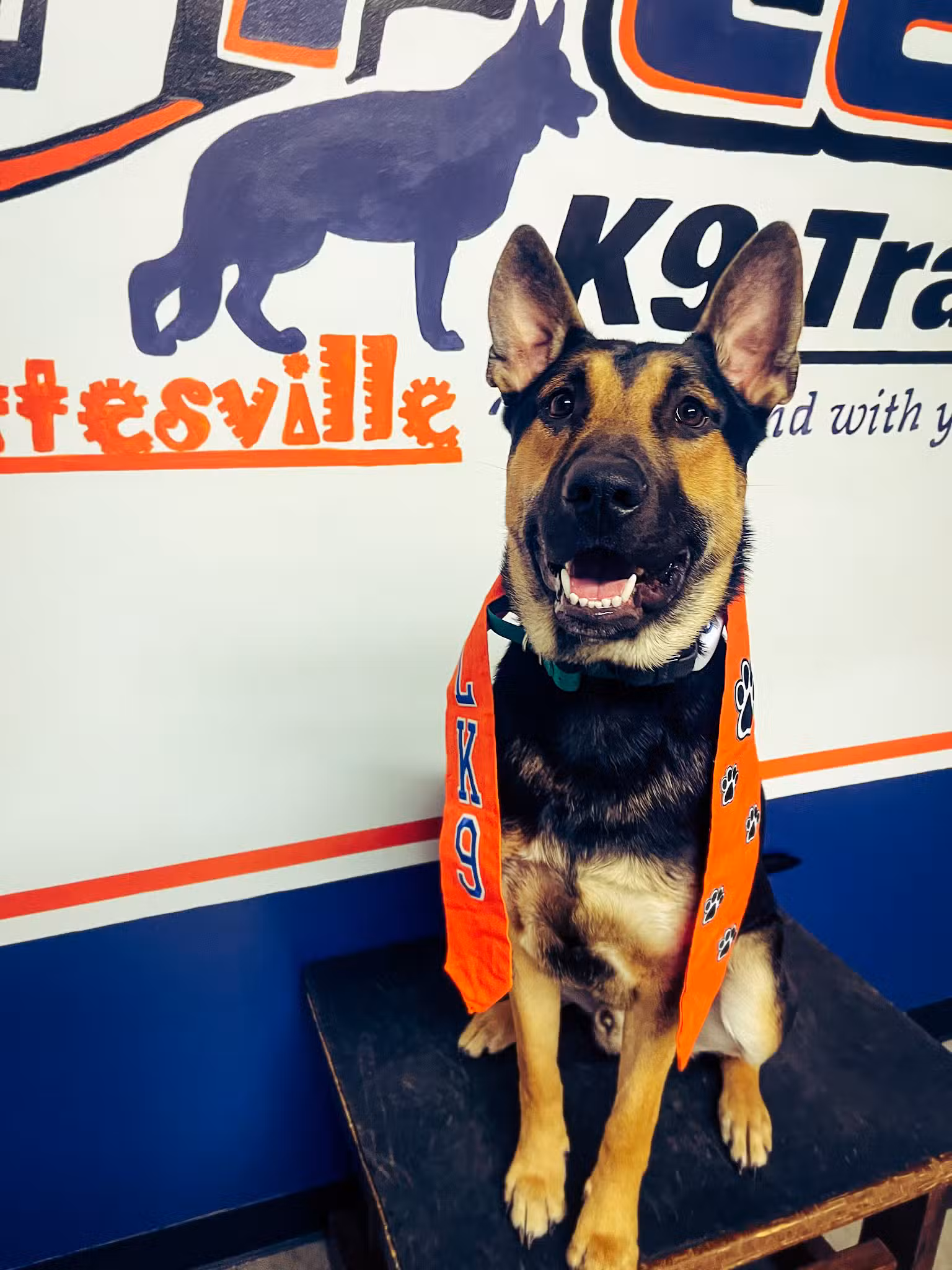 Off Leash K9 Training, Charlottesville - Ruckersville, VA