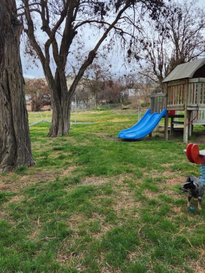 Rufus Dog Park - Rufus, OR