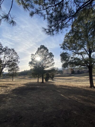 Ruidoso Dog Park - Ruidoso, NM