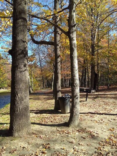 Swift River Walking Trail - Rumford, ME