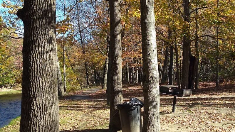 Swift River Walking Trail - Rumford, ME