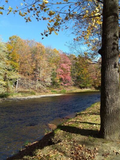 Swift River Walking Trail - Rumford, ME