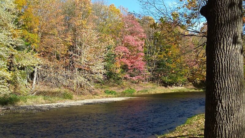Swift River Walking Trail - Rumford, ME