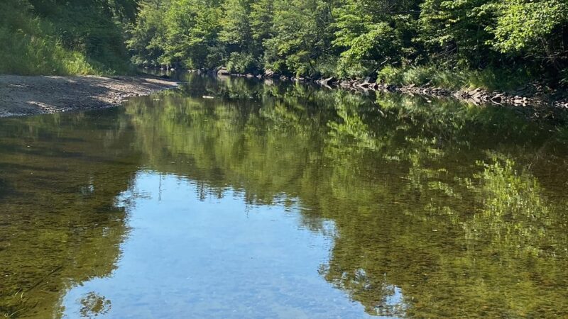Mountain Pines Campground - Rumney, NH