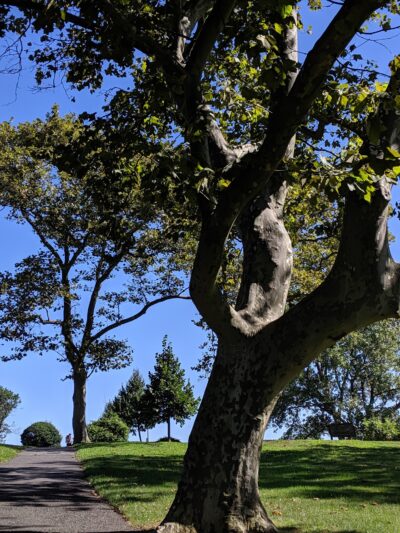 West Park - Rumson, NJ