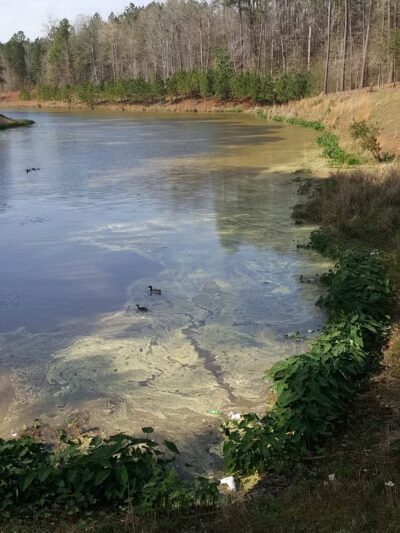 Garland Gregory Hide-A-Way Park - Ruston, LA