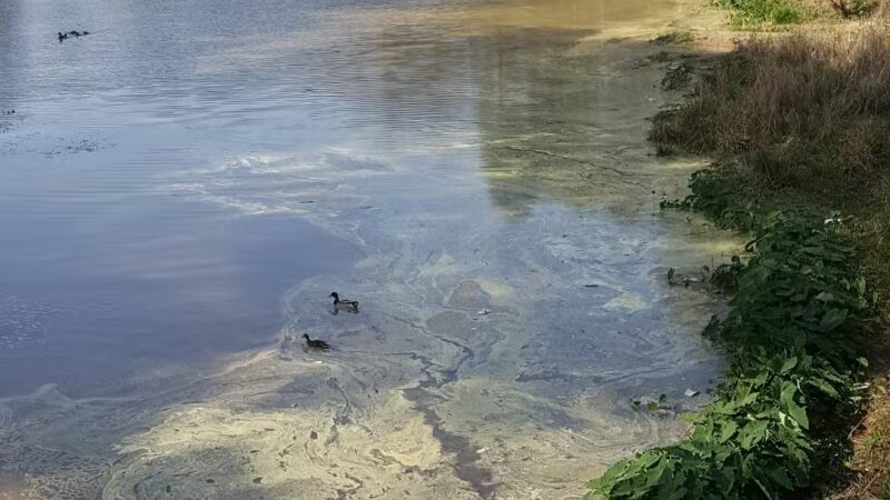 Garland Gregory Hide-A-Way Park - Ruston, LA