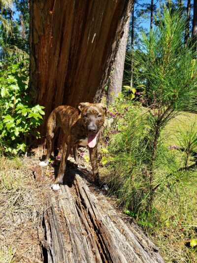 Roberts Park - Ruston, LA