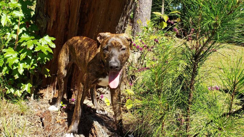 Roberts Park - Ruston, LA