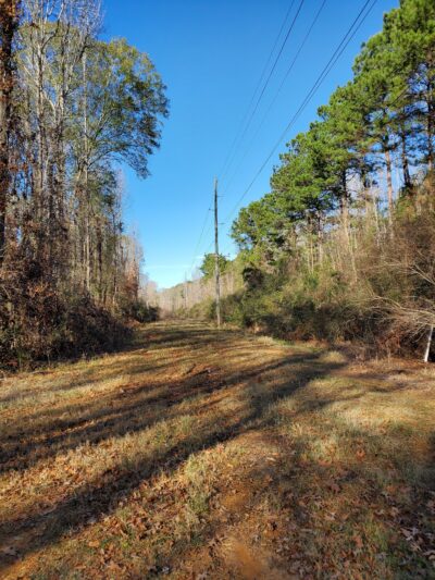 Rock Island Greenway - Ruston, LA