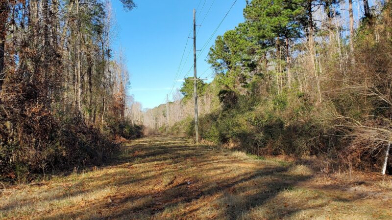 Rock Island Greenway - Ruston, LA