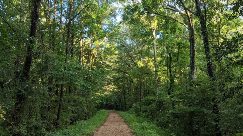 Rock Island Greenway - Ruston, LA