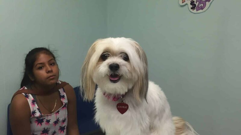 Animal Hospital Of Rutherford - Rutherford, NJ