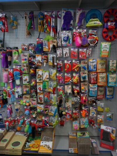 Park Avenue Pet Center - Rutherford, NJ