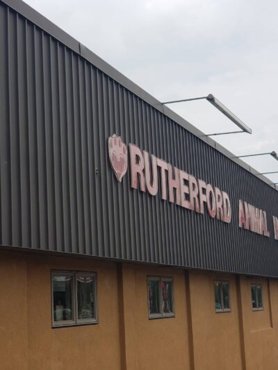 VCA Rutherford Animal Hospital - Rutherford, NJ