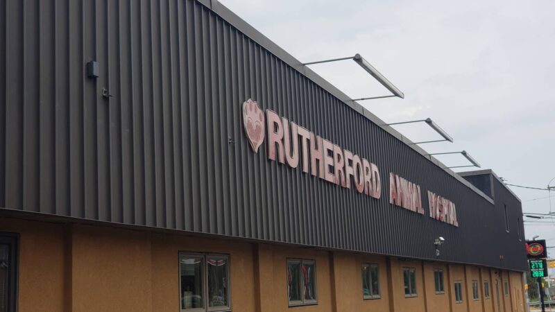 VCA Rutherford Animal Hospital - Rutherford, NJ