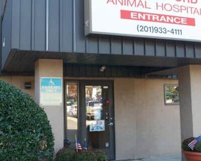 VCA Rutherford Animal Hospital - Rutherford, NJ