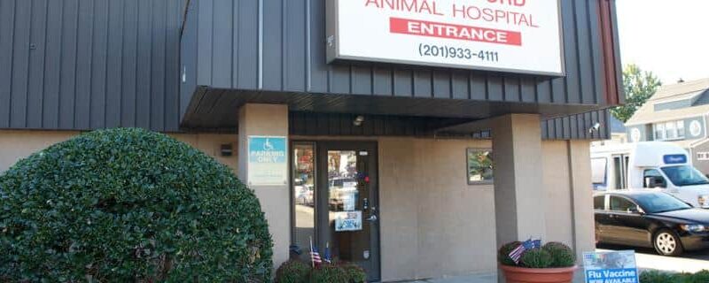 VCA Rutherford Animal Hospital - Rutherford, NJ