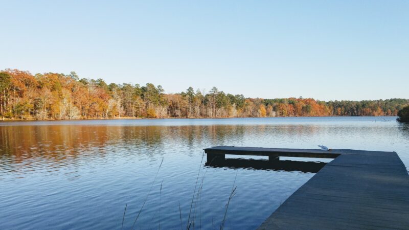 Hard Labor Creek State Park - Rutledge, GA