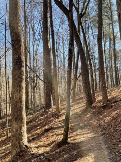 Hard Labor Creek State Park - Rutledge, GA
