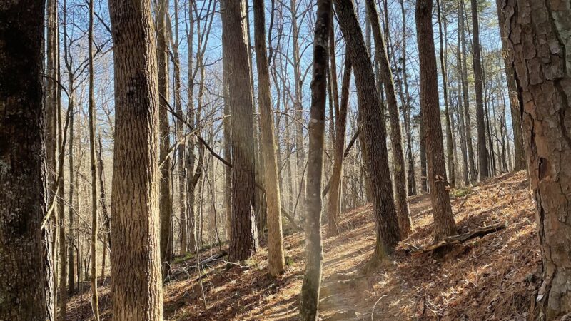 Hard Labor Creek State Park - Rutledge, GA