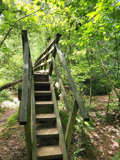 Pine Log Creek Trailhead - Rydal, GA